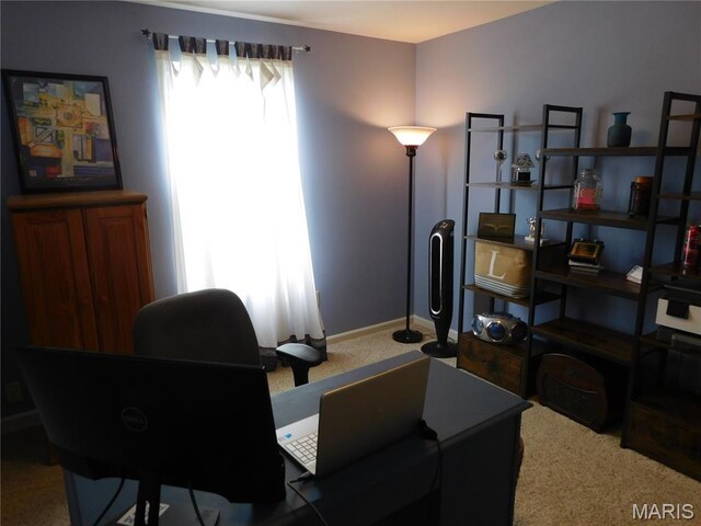 1924 Celebration Park Cir, Belleville, IL 62220 - photo 15