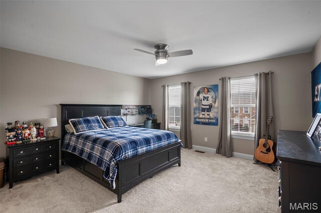22 Fall Flower Ct, Eureka, MO 63025 - photo 47