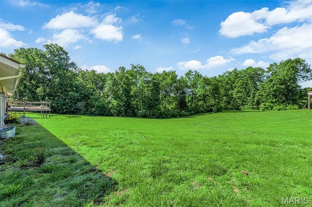 4520 Brevator Rd, Moscow Mills, MO 63362 - photo 24