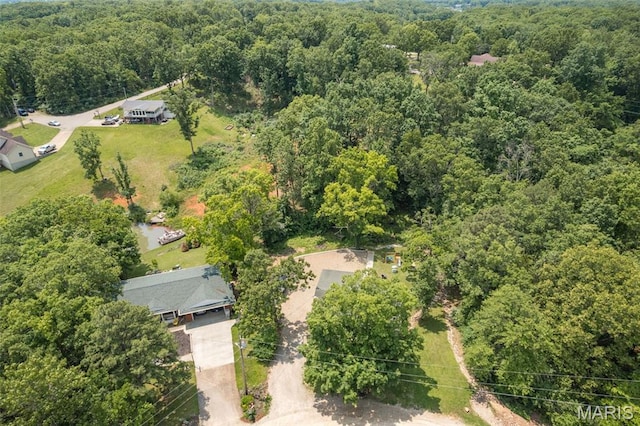 1764 Bourbon Dr, Bonne Terre, MO 63628 - bird's eye view of a forest