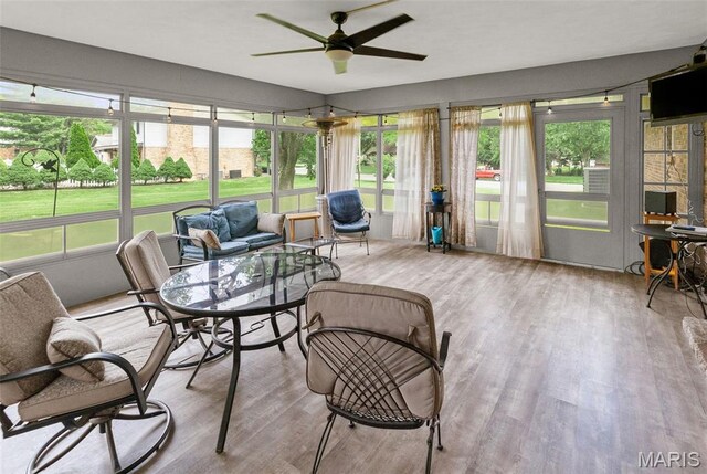 707 Pine Tree Ln, Freeburg, IL 62243 - photo 22
