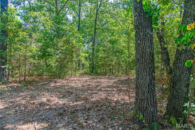 30801 Godt Rd, Wright City, MO 63390