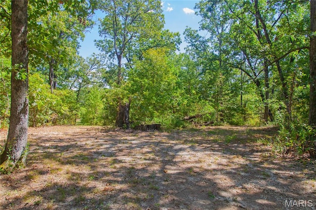 30801 Godt Rd, Wright City, MO 63390