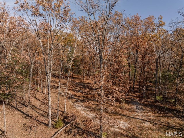 30801 Godt Rd, Wright City, MO 63390
