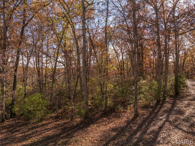 30801 Godt Rd, Wright City, MO 63390