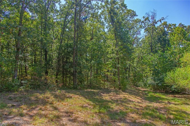 30801 Godt Rd, Wright City, MO 63390