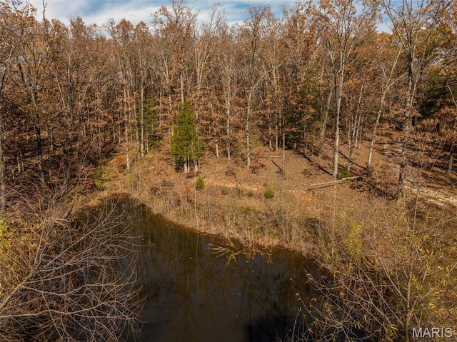 30801 Godt Rd, Wright City, MO 63390