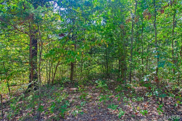 30801 Godt Rd, Wright City, MO 63390