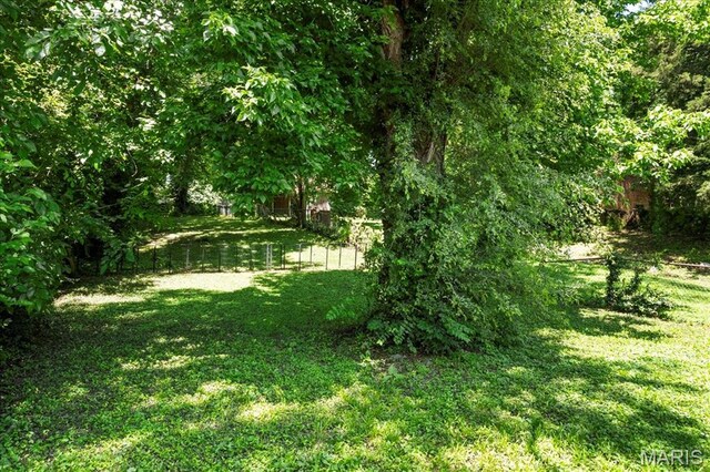 2929 Lincoln Ave, Saint Louis, MO 63121 - view of yard
