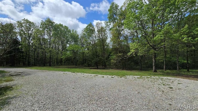 11863 Windy Curve Ln, Success, MO 65570 - view of street featuring a forest view