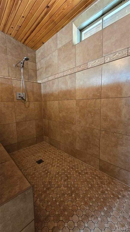 11863 Windy Curve Ln, Success, MO 65570 - bathroom featuring tiled shower