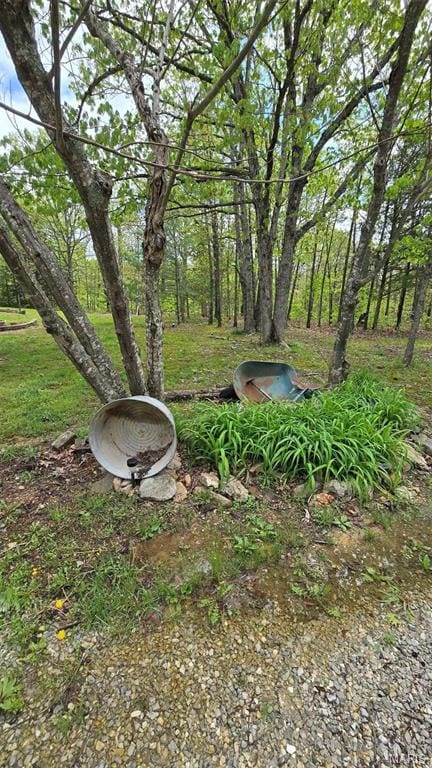 11863 Windy Curve Ln, Success, MO 65570 - view of yard
