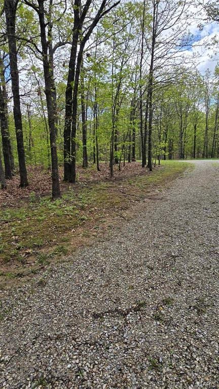 11863 Windy Curve Ln, Success, MO 65570 - view of wooded area
