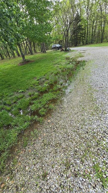 11863 Windy Curve Ln, Success, MO 65570 - view of yard
