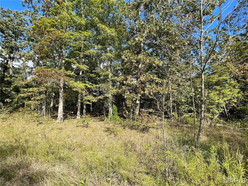 11 Woodland Hts W, Poplar Bluff, MO 63901