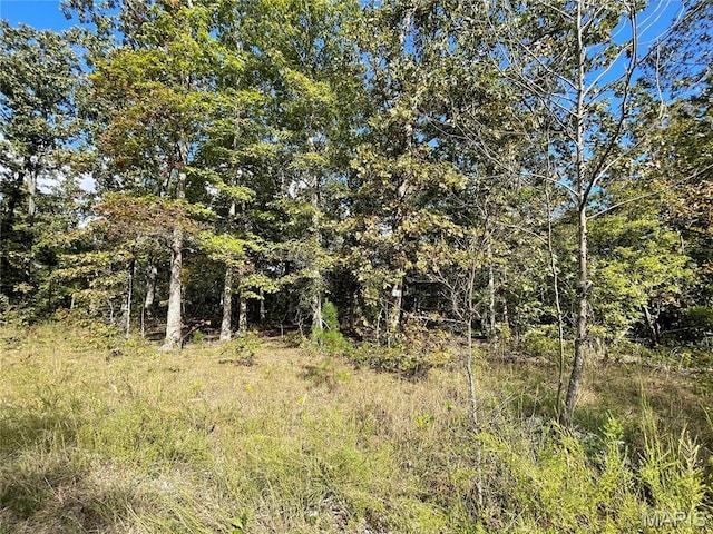 11 Woodland Hts W, Poplar Bluff, MO 63901