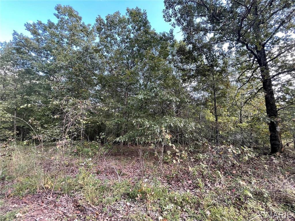 11 Woodland Hts W, Poplar Bluff, MO 63901