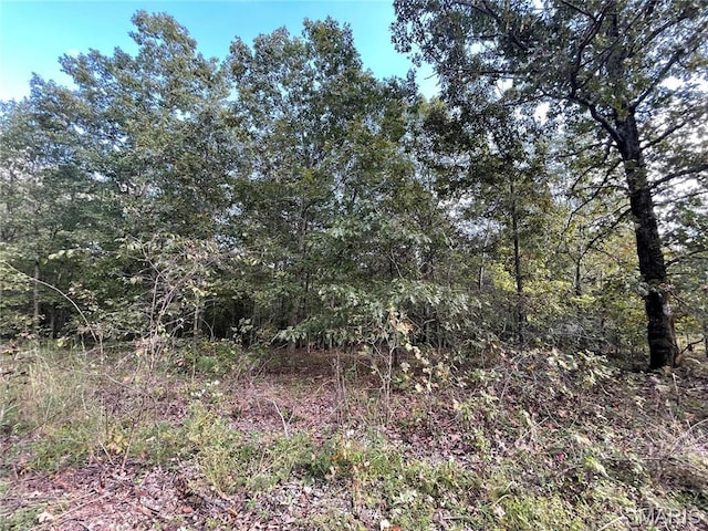 11 Woodland Hts W, Poplar Bluff, MO 63901