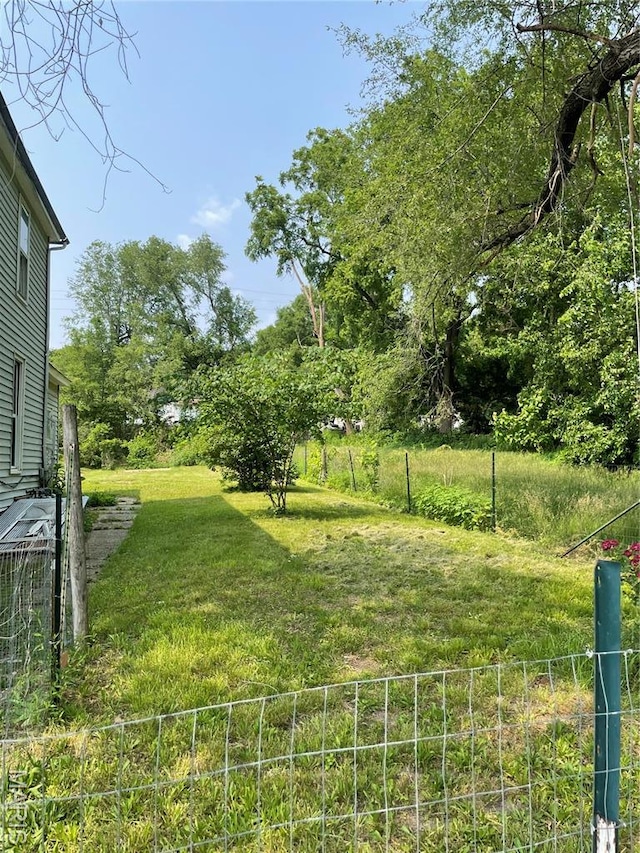 1908-19 Hope St, Hannibal, MO 63401 - view of yard