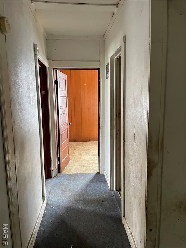 1908-19 Hope St, Hannibal, MO 63401 - corridor with carpet floors