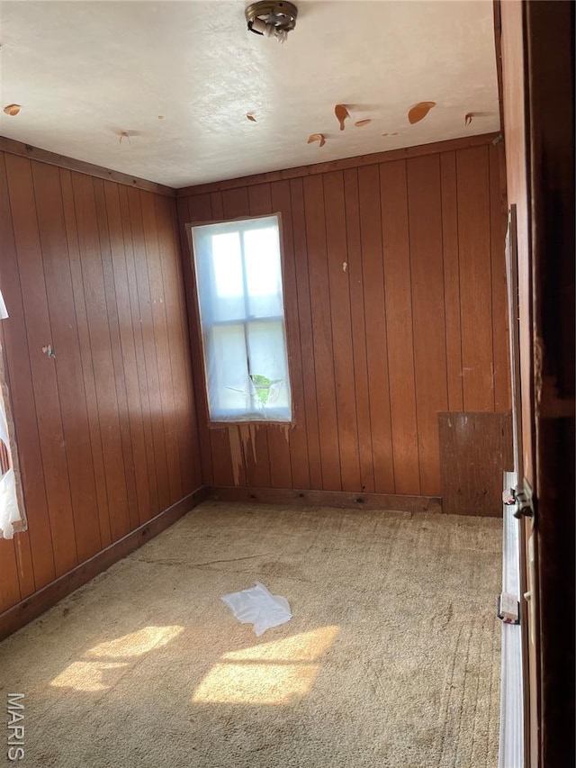 1908-19 Hope St, Hannibal, MO 63401 - empty room with light carpet and wood walls