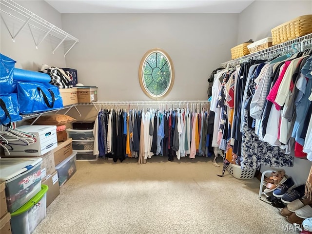 495 Oak Field Ct, Washington, MO 63090 - walk in closet featuring carpet flooring