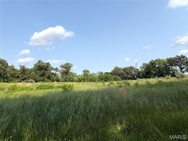 17 Wood Dr, Boulder, IL 62231