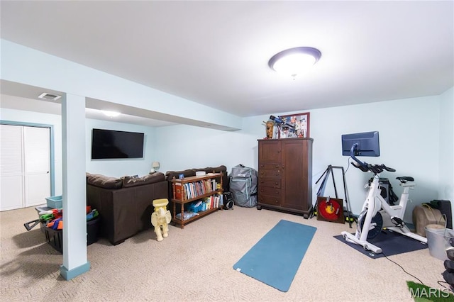 15701 County Road 1130, St James, MO 65559 - exercise room with carpet floors