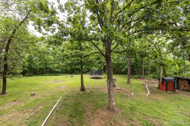 15701 County Road 1130, St James, MO 65559 - view of green lawn featuring a trampoline and a shed