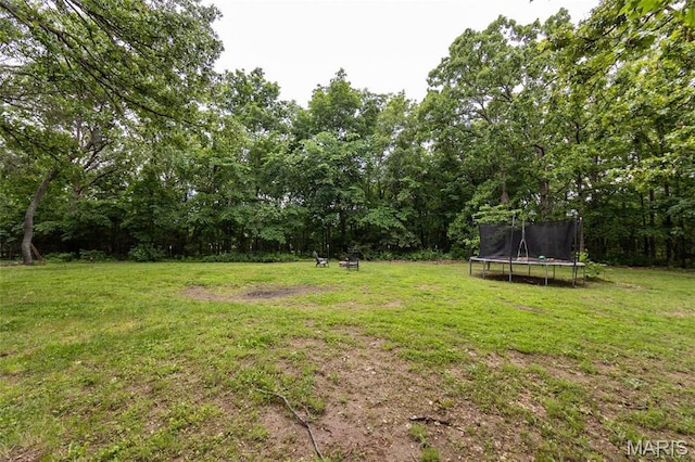15701 County Road 1130, St James, MO 65559 - view of grassy yard featuring a trampoline