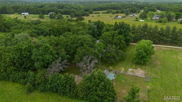 15701 County Road 1130, St James, MO 65559 - view of rural area