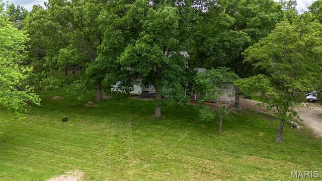 15701 County Road 1130, St James, MO 65559 - view of grassy yard
