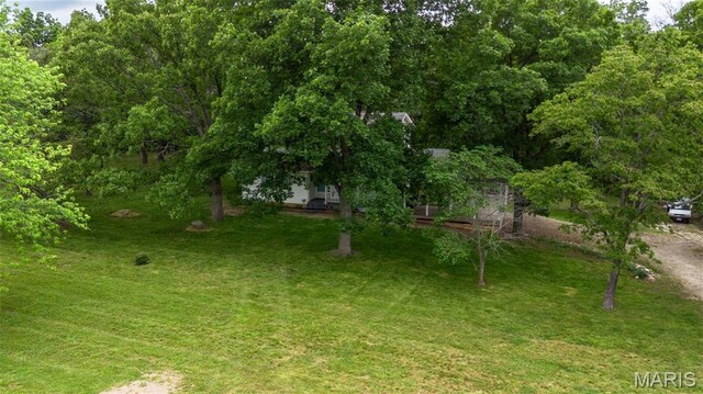 15701 County Road 1130, St James, MO 65559 - view of grassy yard