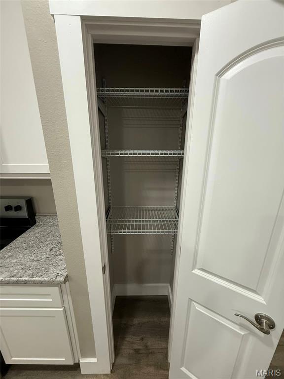 618 Taylor Ave, Park Hills, MO 63601 - view of pantry