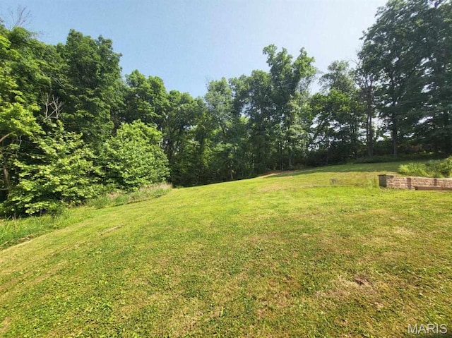 17917 Rosemar Ln, Wildwood, MO 63038 - view of grassy yard