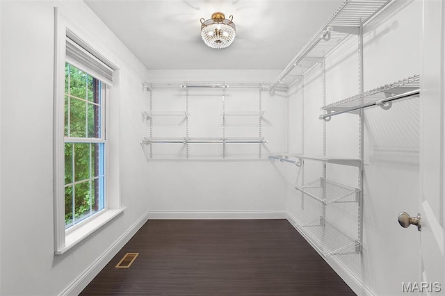 17917 Rosemar Ln, Wildwood, MO 63038 - spacious closet with dark wood-style floors