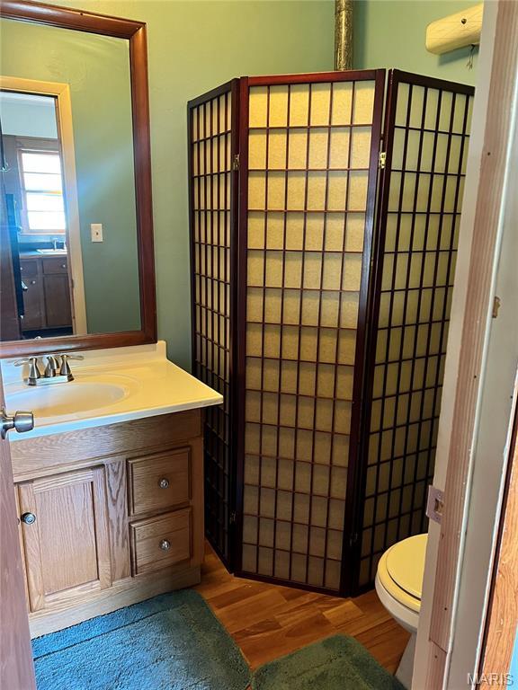 503 Cumberland St, Coffeen, IL 62017 - bathroom with wood finished floors, toilet, and vanity