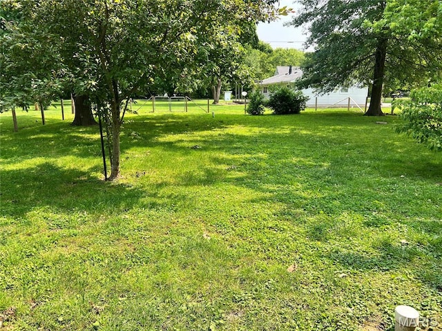 503 Cumberland St, Coffeen, IL 62017 - view of yard