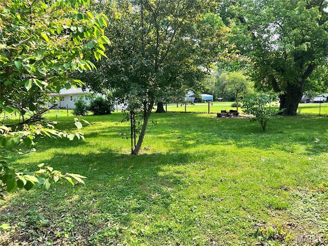 503 Cumberland St, Coffeen, IL 62017 - view of grassy yard
