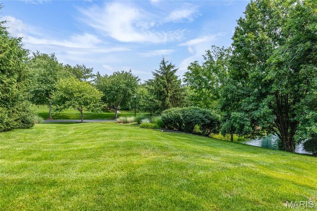 349 Conway Hill Rd, Town And Country, MO 63141 - photo 14