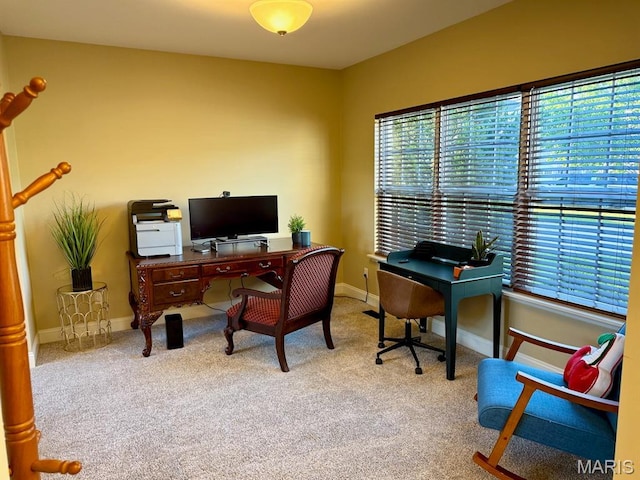 5005 Double Tree Dr, Imperial, MO 63052 - office space featuring carpet flooring and baseboards