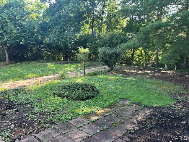 918 N Ballas Rd, Saint Louis, MO 63131 - photo 46
