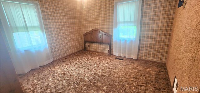 624 Palestine Rd, Chester, IL 62233 - photo 18