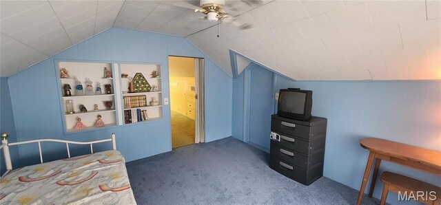 624 Palestine Rd, Chester, IL 62233 - photo 32