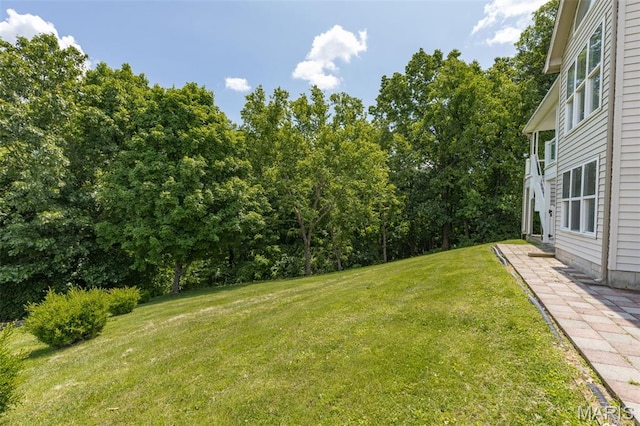 11396 River Hills Rd, Festus, MO 63028 - photo 25