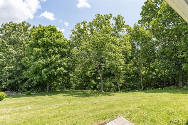 11396 River Hills Rd, Festus, MO 63028 - photo 27