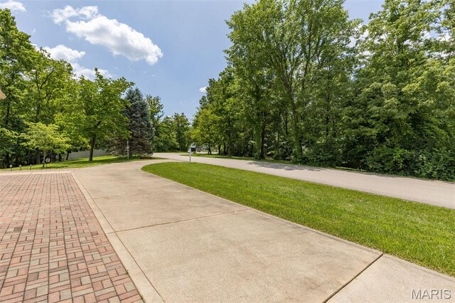 11396 River Hills Rd, Festus, MO 63028 - photo 31