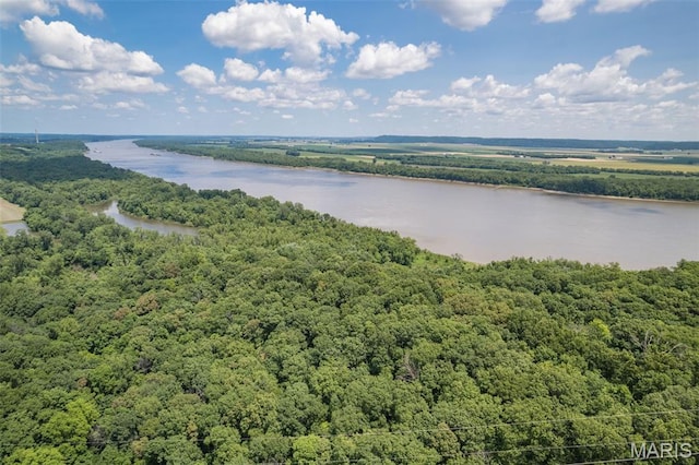 11396 River Hills Rd, Festus, MO 63028 - photo 42