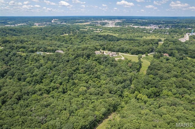 11396 River Hills Rd, Festus, MO 63028 - photo 43