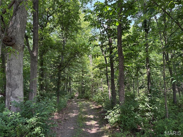 549 Birkhead Rd, Winfield, MO 63389